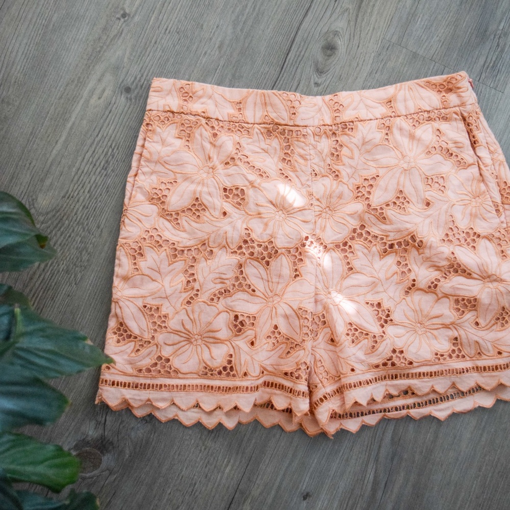 Ann Taylor high waisted Summer Shorts